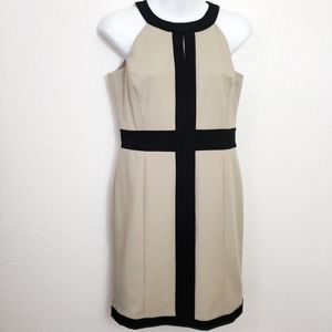 Ann Taylor Dress